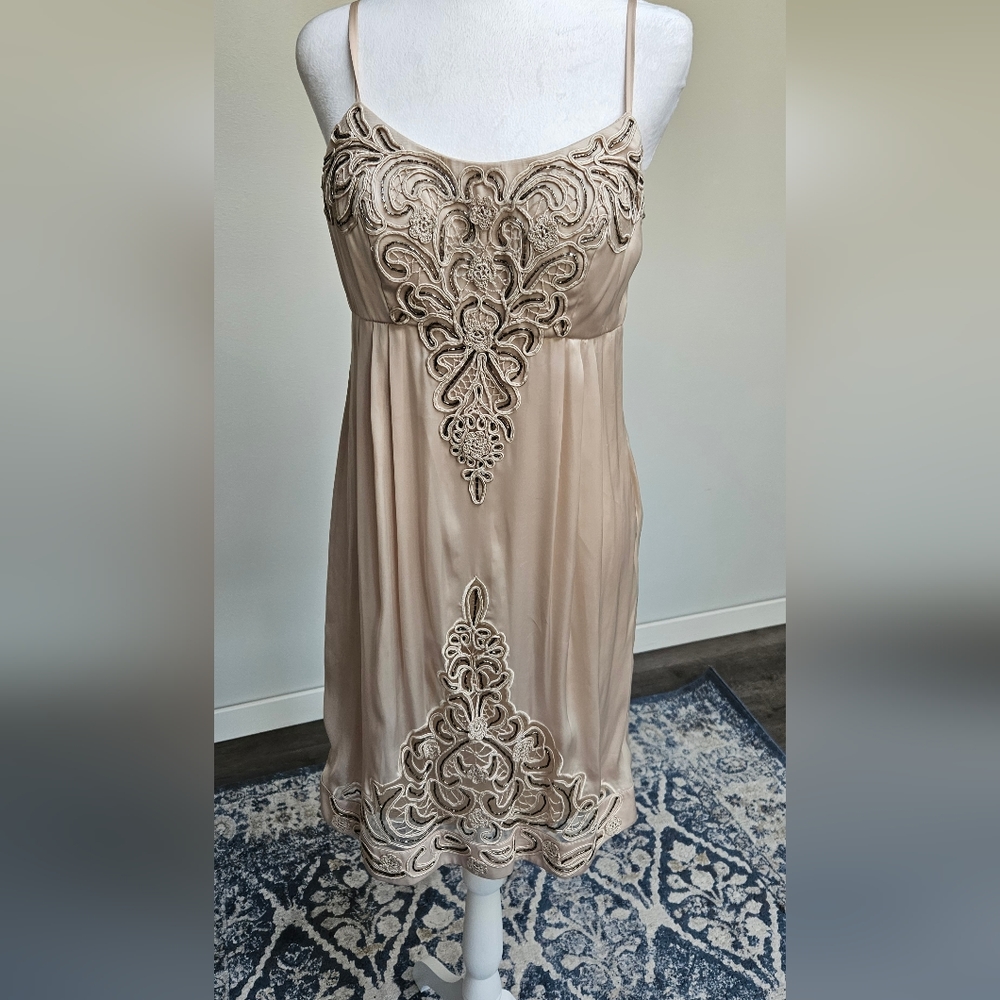 Dress. Beautiful design and beads.